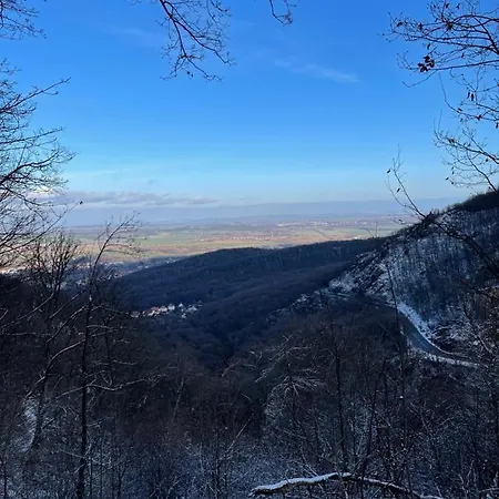 Апартаменты Wanderunterkunft Am Hexentanzplatz O Тале